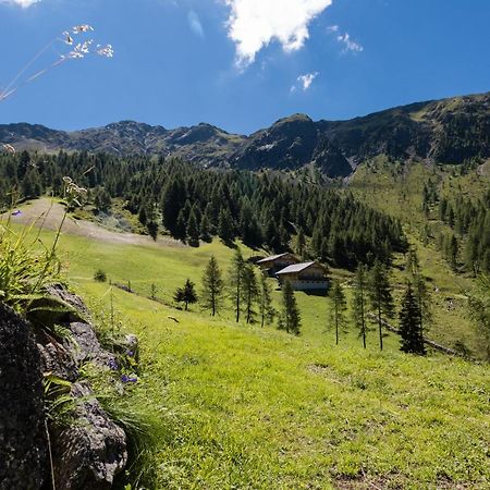 Feldererhof Apt Almenblick Santa Maddalena in Casies Eksteriør billede