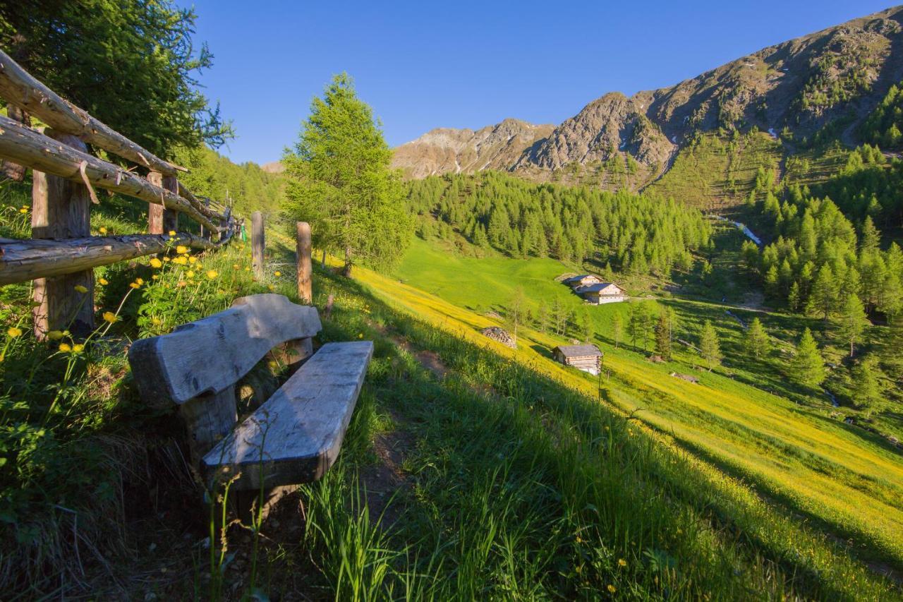Feldererhof Apt Almenblick Santa Maddalena in Casies Eksteriør billede